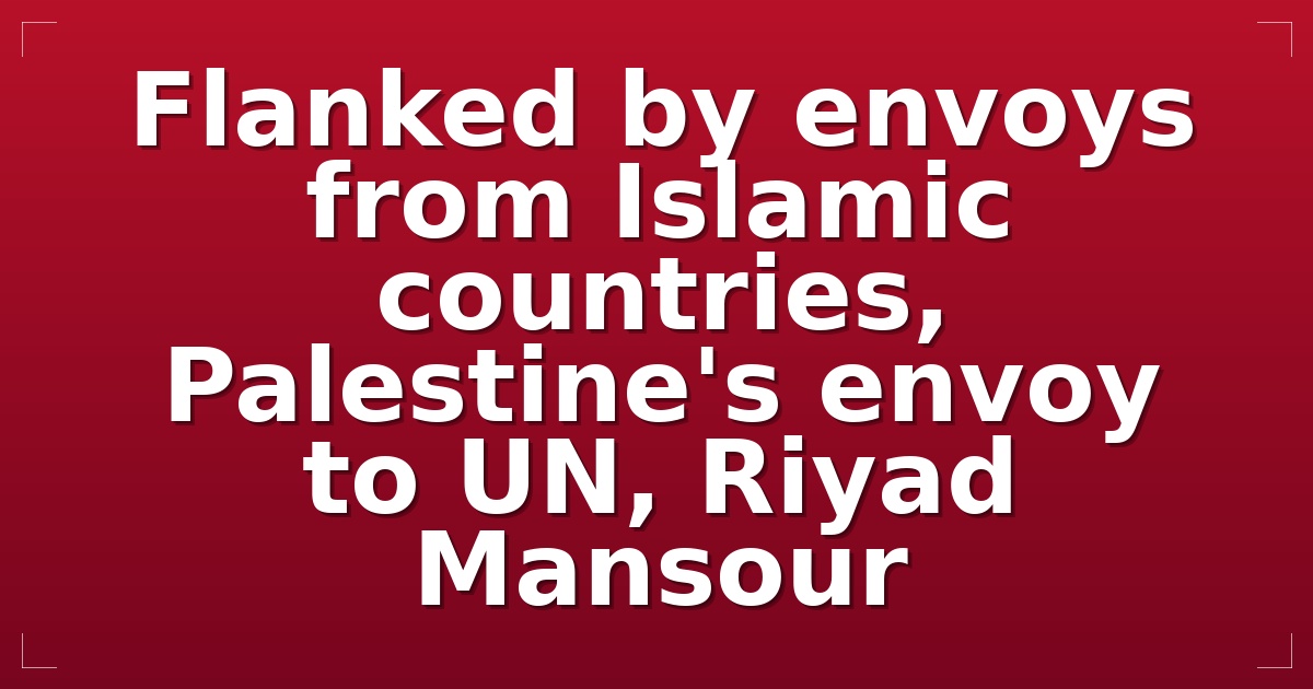 Flanked by envoys from Islamic countries, Palestine's envoy to UN, Riyad Mansour