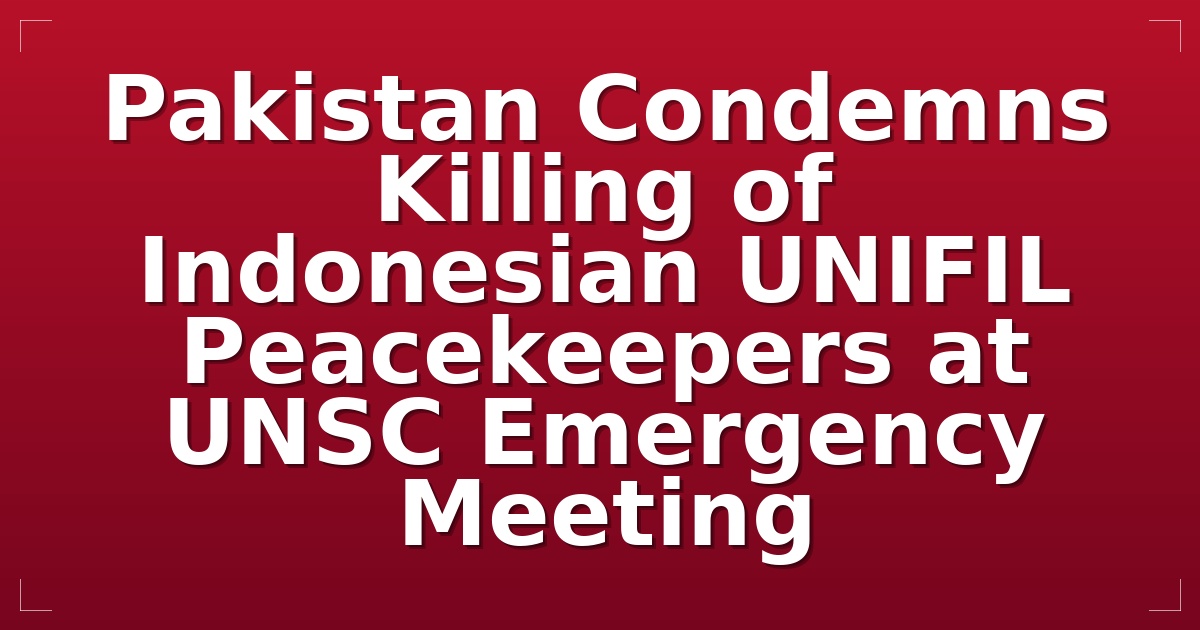 Pakistan Condemns Killing of Indonesian UNIFIL Peacekeepers at UNSC Emergency Meeting