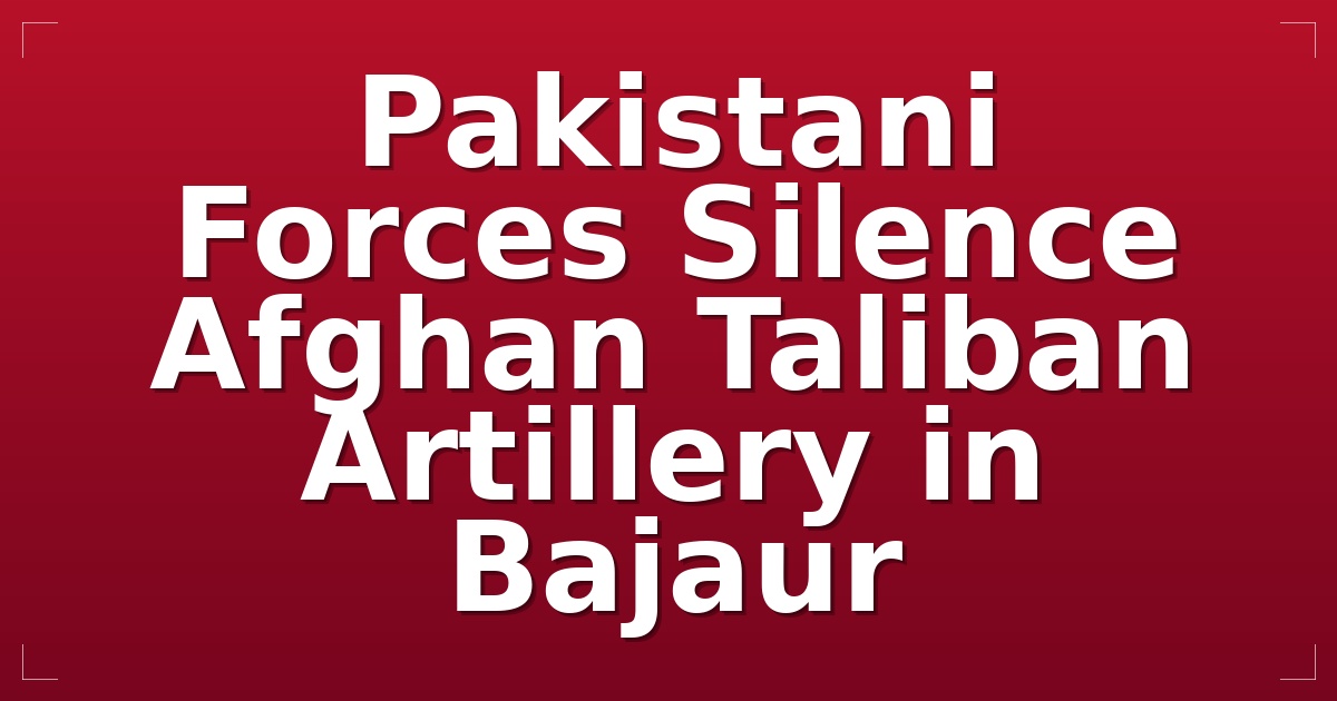 Pakistani Forces Silence Afghan Taliban Artillery in Bajaur