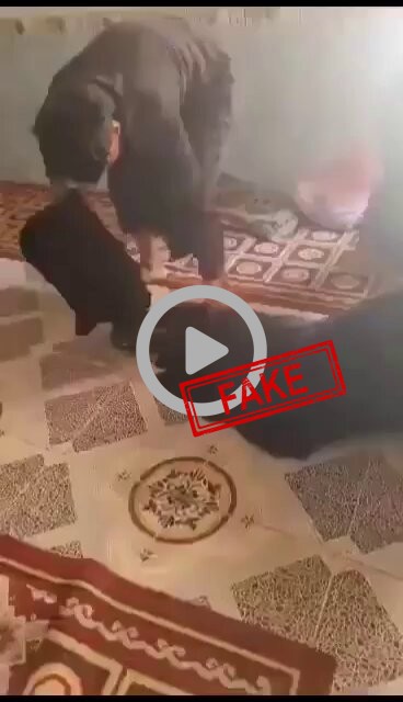 FACT CHECK: Fake News Alert - Pakistan : Mohammad gave his wife triple talaq(divorce) just...