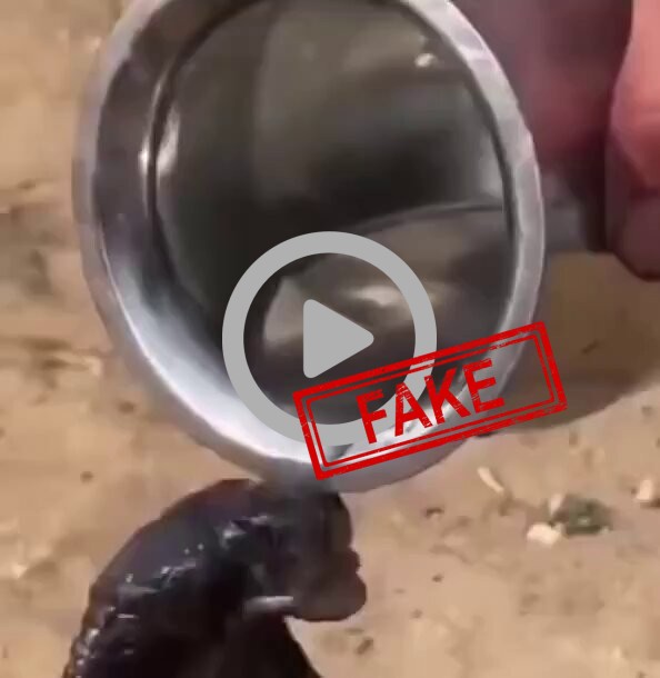 FACT CHECK: Fake News Alert - Man saved a dying cobra, gave it water to nurse it back… F...